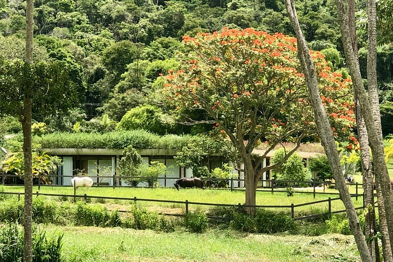 Casa de Temporada na Serra Petropolis Itaipava com Piscina