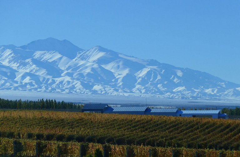 Casa de Uco -Mendoza - Argentina